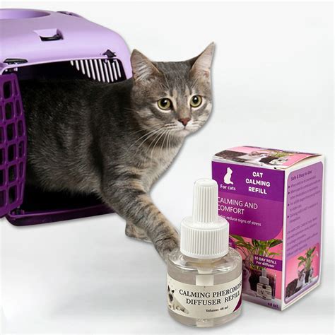 Optimum Cat, Enhanced Calming Cat Anxiety ReliefCat Pheromones - Anti