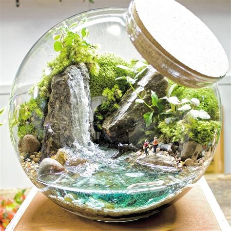 Terrarium Imaginarium Tr N Instagram Beautiful Tropical Getaway