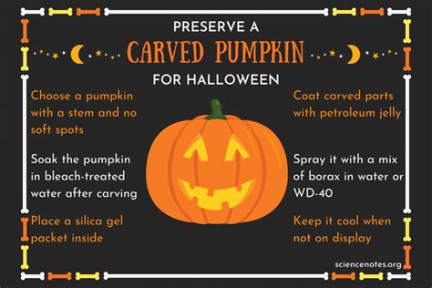 Simple Tips To Make Uncarved Pumpkins Last Longer