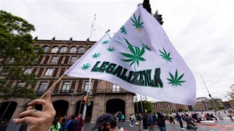 Legalizaci N La Suprema Corte Autoriza El Uso Recreativo De La