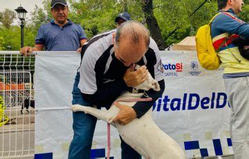 Realizan primera Carrera Perrona 2022 en SLP Noticias de San Luis Potosí