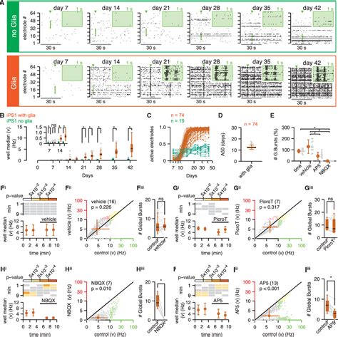 Figure 4 From Combining NGN2 Programming With Developmental Patterning