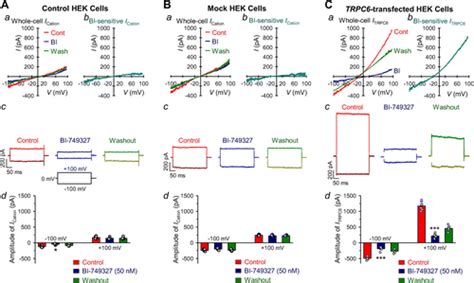 Mechanosensitive Cation Currents Through TRPC6 And Piezo1 Channels In