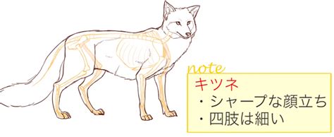 動物イラストの描き方講座の決定版！似ている動物の描き方講座｜お絵かき講座パルミー