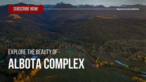 Albota Complex Presentation Youtube