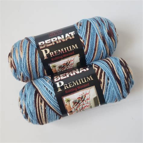 Bernat Premium Worsted Variegated Yarn Acrylic Yarn 142 G Wedgewood