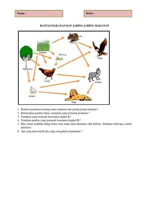 Lkpd Rantai Makanan Dan Jaring Jaring Makanan Pdf