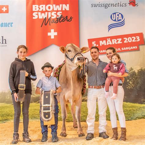 Brown Swiss Masters