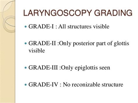 Anatomy Of Larynx