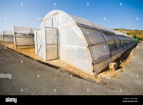 Greenhouse Under Blue Sky In Valencia Spain Stock Photo Alamy