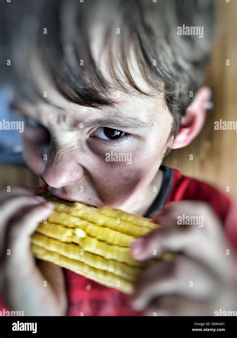 Boy Eating Corn On The Cob Stock Photo Alamy