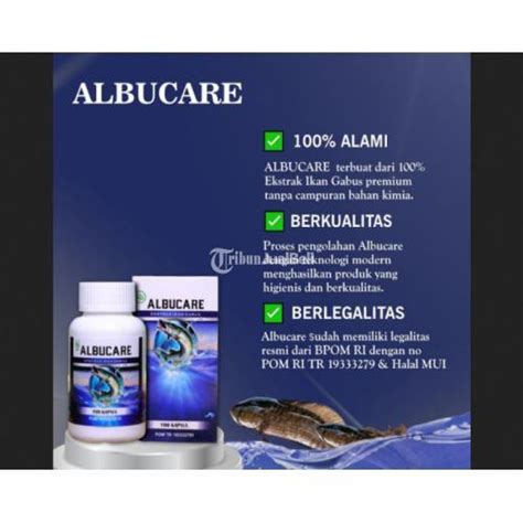 Albucare Kapsul Ekstrak Ikan Gabus Pasca Operas Caesar Di Bandung Kota