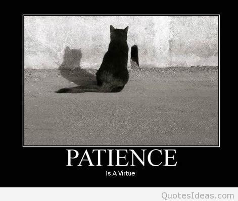 Funny patience Memes