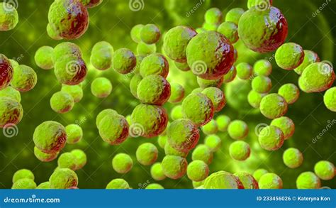 Bacteria Pediococcus, 3D Illustration | CartoonDealer.com #231910456