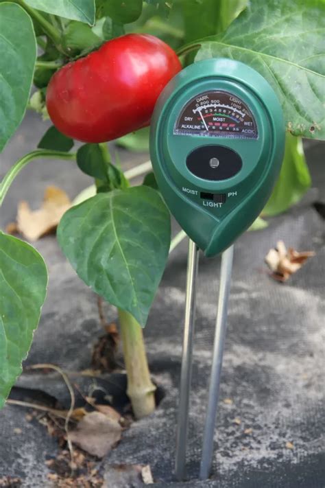 How To Use A Moisture Meter How To Know When To Water