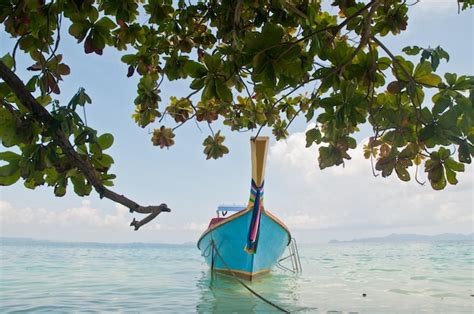 Premium Photo | Tour boat in phuket thailand