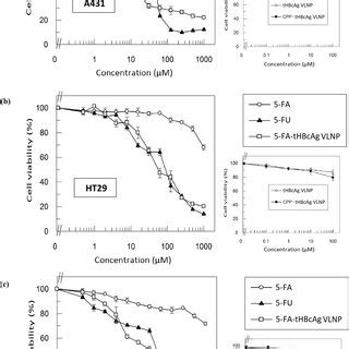 Cytotoxicity Of Various 5 FA Formulations As Determined By MTT Assay