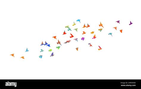 Multi Colored Birds A Flock Of Flying Rainbow Birds Vector