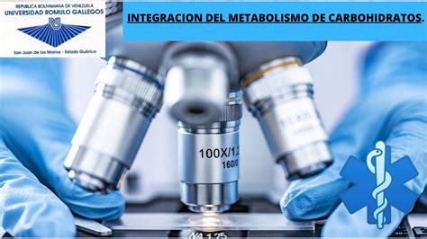 Integraciòn Del Metabolismo De Carbohidratos Youtube