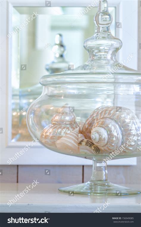 Decorative Glass Apothecary Jar Of Large Sea Shells Beach Inspired