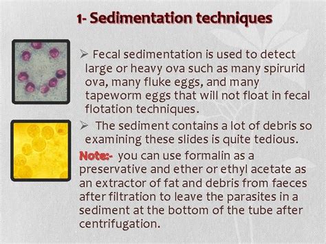 Concentration Methods Of Fecal Parasites By Assistant Lecturer