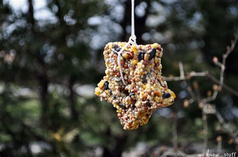 DIY Bird Seed Feeders: Easy To Make, Nature-Friendly Kids Craft