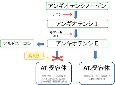 arbnote