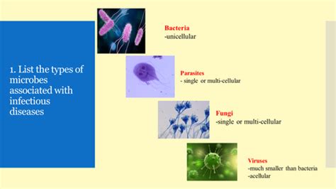 Lecture Part Introduction To Medical Microbiology And Infectious