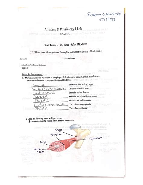 Lab Final Study Guide BSC2085 Studocu