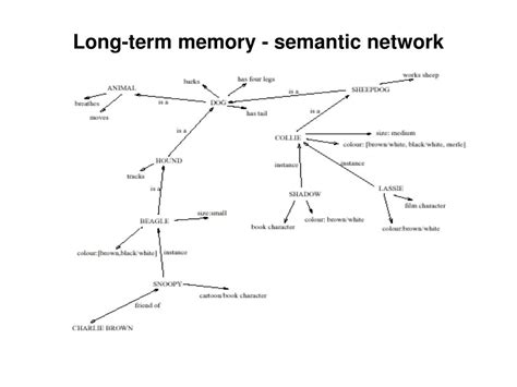 PPT - The Human PowerPoint Presentation, free download - ID:5855563