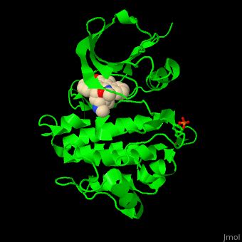 Tyrosine Kinase Proteopedia Life In 3D