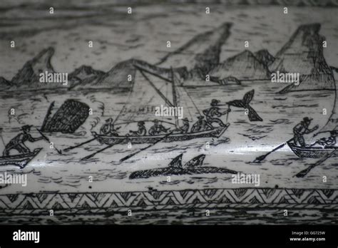 Scrimshaw Whale Immagini E Fotografie Stock Ad Alta Risoluzione Alamy