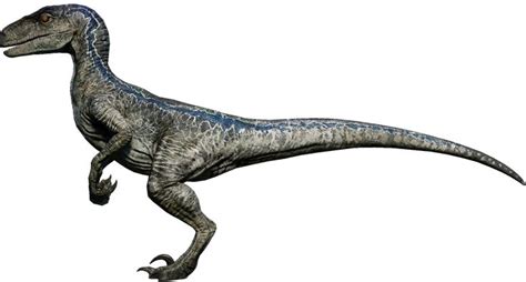 Velociraptor Jurassic World Evolution Wiki Fandom Velociraptor