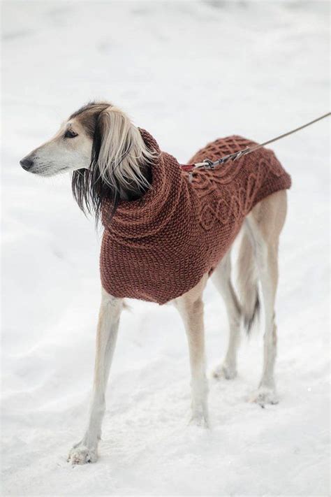 Wool Sighthound Sweater Custom Made Winter Dog Coat Hand Knit 100