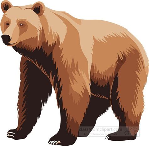 Bear Clipart Brown Bear With Shaggy Fur Coat