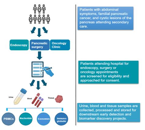 Liver and Pancreaticobiliary Cancer | Pereira/Acedo Group, Division of ...