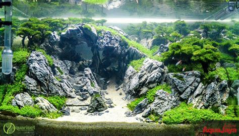 an aquarium with rocks, plants and water in the bottom right hand ...