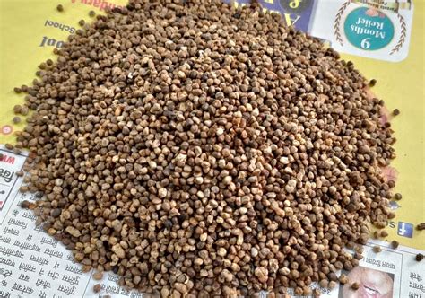 Dry Natural Badi Elaichi Dana Packaging Size 10 Kg At Rs 1250 Kg In Hisar