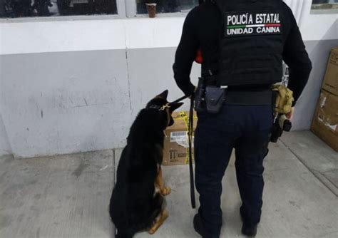 Policías estatales decomisan más de un kilo de marihuana en la Central