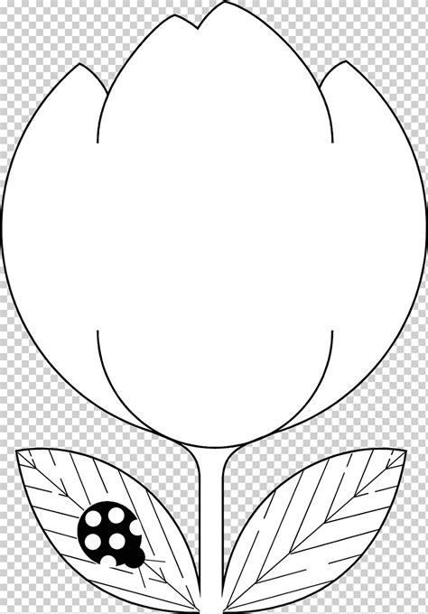 Dibujos de mariquita en blanco y negro para colorear ilustración