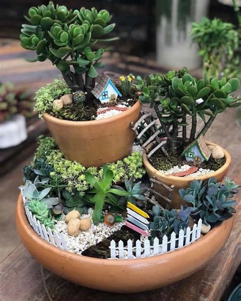 Mini Jardim De Suculentas E Cactos Inspira Es Como Plantar E Cuidar