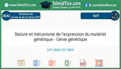 Nature Et M Canisme De L Expression Du Mat Riel G N Tique G Nie