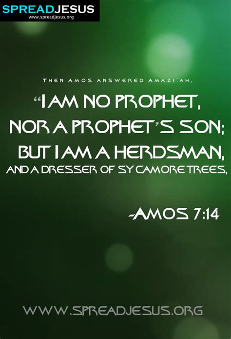 Amos 714 Bible Quotes Hd Wallpapers Then Amos Answered