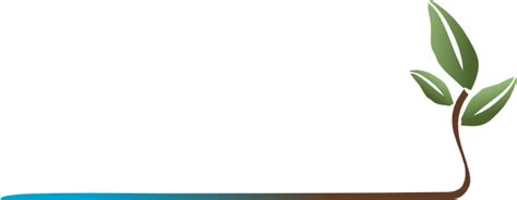 plant underline clip art leaf underlines transparent png