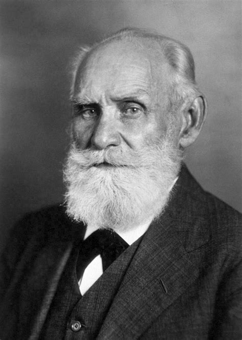 Perro De Pavlov 2