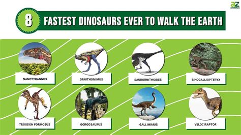 Discover the Top 8 Fastest Dinosaurs Ever to Walk the Earth - A-Z Animals