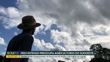 Bom Dia Paraná Frio intenso preocupa agricultores do sudoeste Globoplay