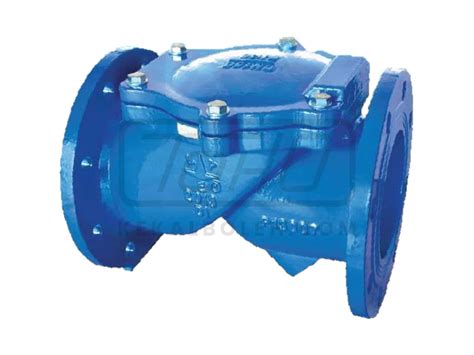 Lye Ductile Iron Rubber Flap Type Check Valve Pn16 Non Slam Type Flanged End Kekalboleh