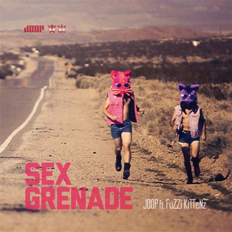 Joop Ft Fuzzi Kittenz Sex Grenade CD Discogs