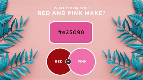 Red and Pink Mixed! What Color Do Red and Pink Make? (Updated 2023)